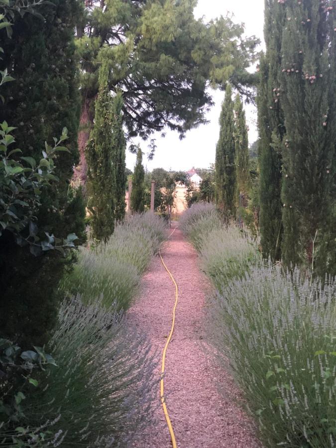 Les Jardins Haute Couture Huismes Экстерьер фото